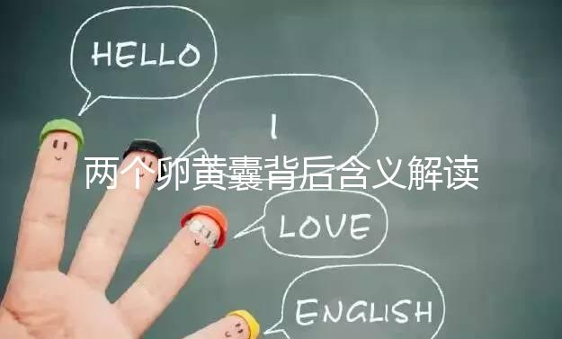 兩個卵黃囊背后含義解讀：雙胞胎、龍鳳胎都有可能！