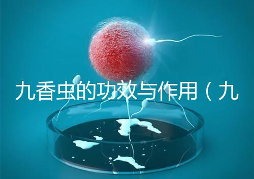 九香蟲的功效與作用(九香蟲和蜈蚣誰最壯陽)