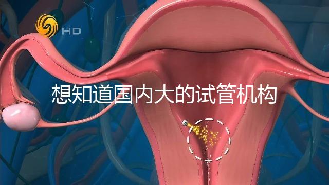 想知道國內(nèi)大的試管機構(gòu)，可以查到的那種？