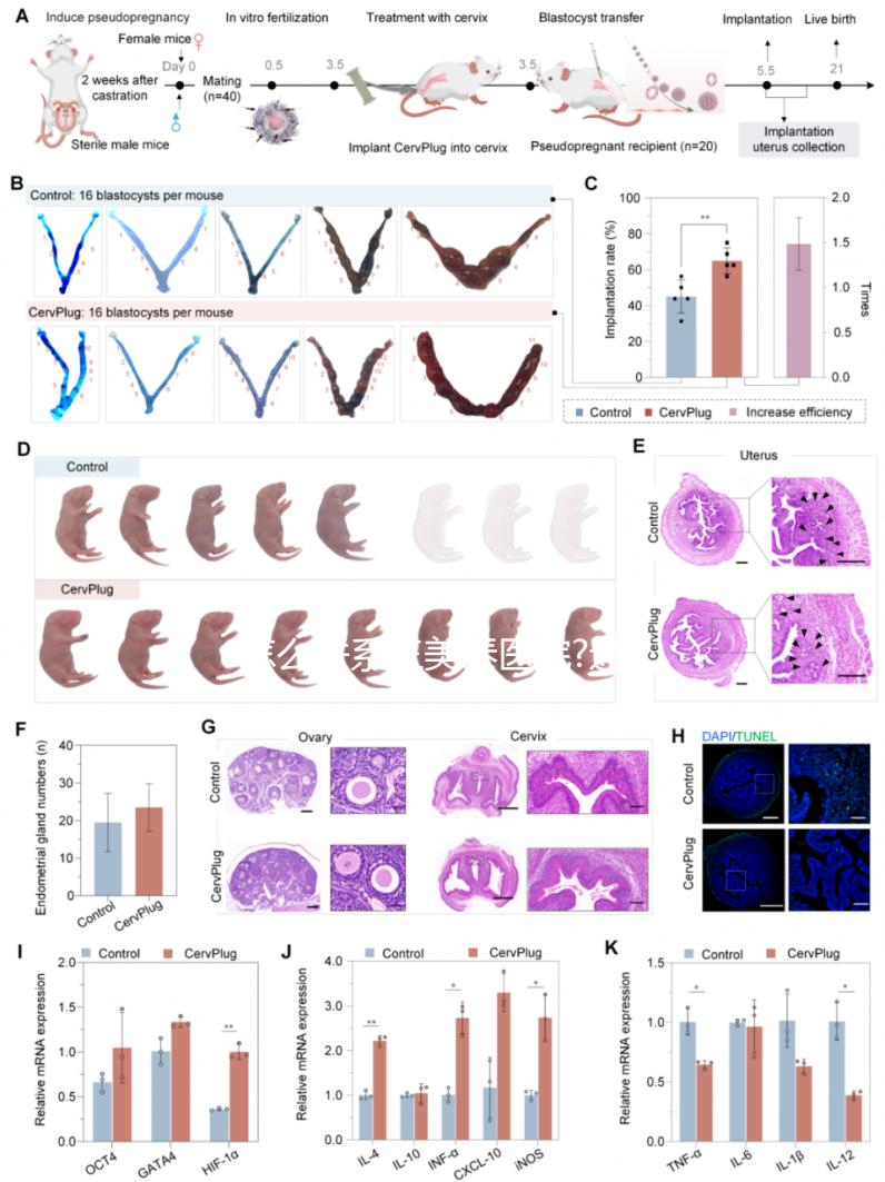 怎么聯(lián)系三美泰醫(yī)院?通過(guò)泰國(guó)試管中介或者官網(wǎng)都可選擇