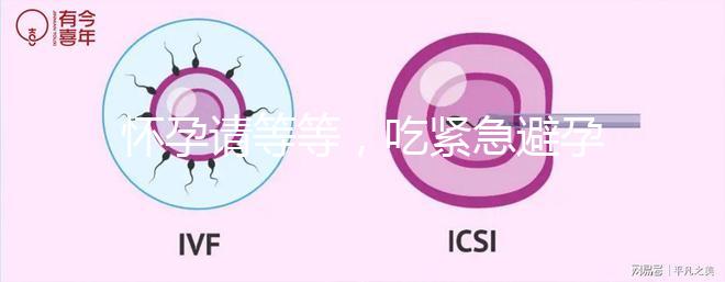 懷孕請等等，吃緊急避孕藥多久能有性生活看專家怎么說