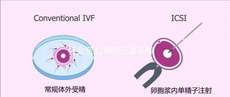懷女寶12種特征準(zhǔn)到爆，尿液顏色、孕反...看你對上幾條