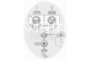 揭秘上環對身體的5大壞處,女人別再無知了