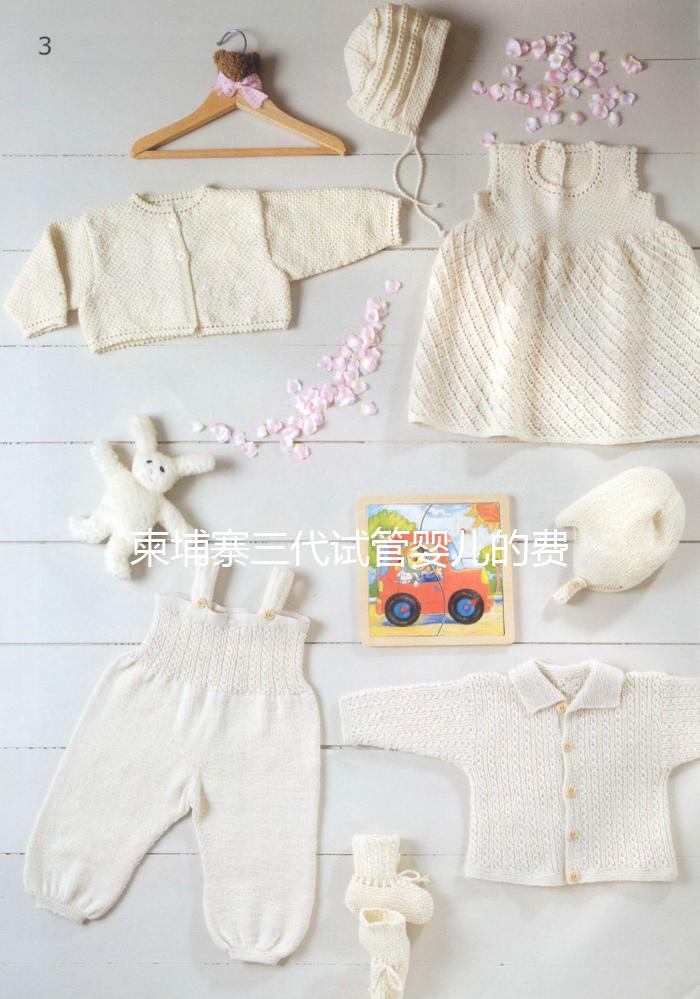 柬埔寨三代試管嬰兒的費用、成功率、流程一文說明！