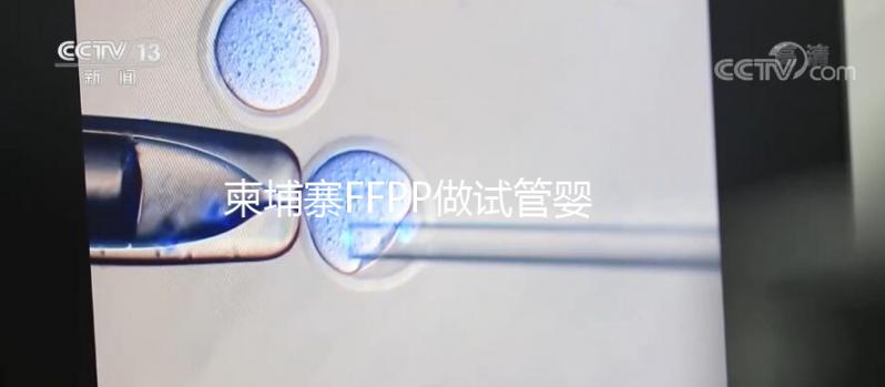 柬埔寨FFPP做試管嬰兒不“包成功”，小心不良中介套路