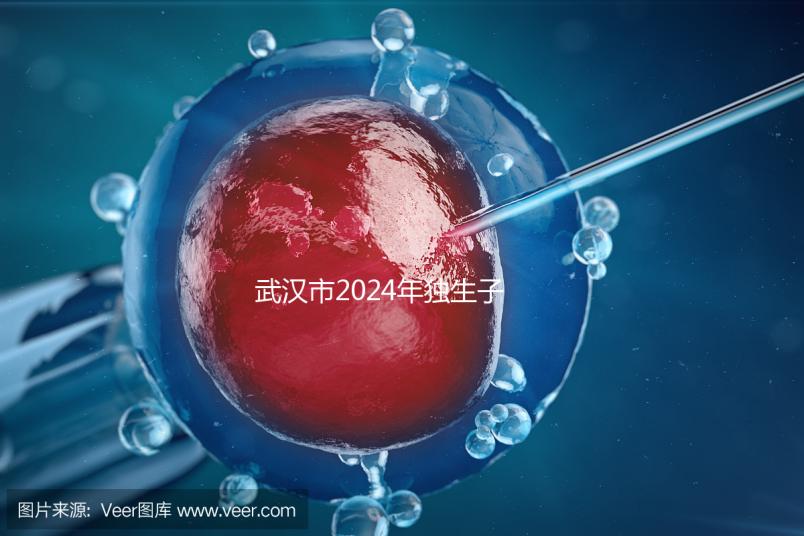 武漢市2024年獨生子女補(bǔ)貼政策已經(jīng)實施,領(lǐng)取流程更加規(guī)范