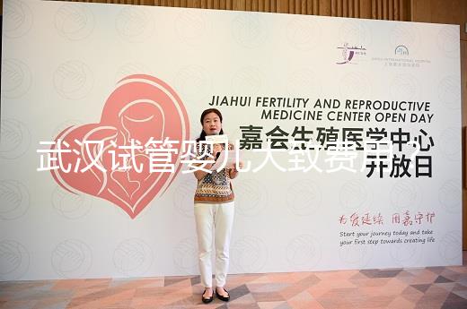 武漢試管嬰兒大致費用？