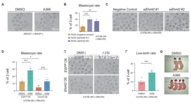 泰國(guó)單一試管機(jī)構(gòu)推薦，標(biāo)準(zhǔn)、流程和費(fèi)用清單，實(shí)現(xiàn)你的生育夢(mèng)想