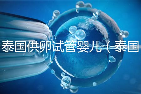 泰國(guó)供卵試管嬰兒（泰國(guó)供卵試管嬰兒合法嗎）