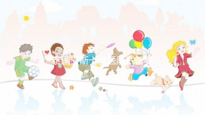 泰國(guó)密斯卡灣醫(yī)院試管嬰兒價(jià)格指南附項(xiàng)目及費(fèi)用明細(xì)!