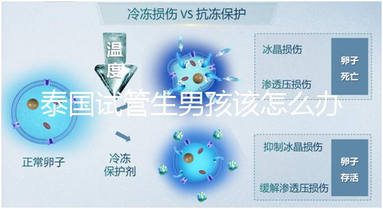 泰國(guó)試管生男孩該怎么辦?詳細(xì)助孕流程快速收集