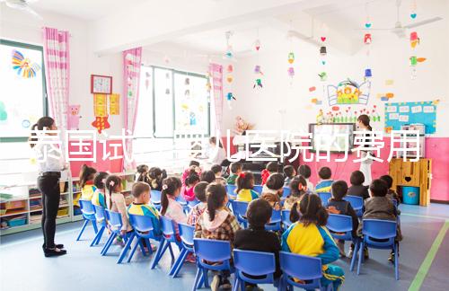 泰國(guó)試管嬰兒醫(yī)院的費(fèi)用和成功率已經(jīng)公布去泰國(guó)生孩子一定要看