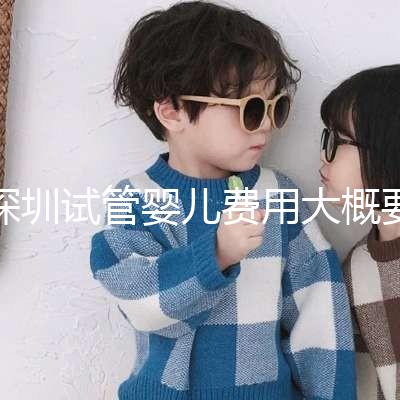 深圳試管嬰兒費(fèi)用大概要多少錢:2024年費(fèi)用概覽