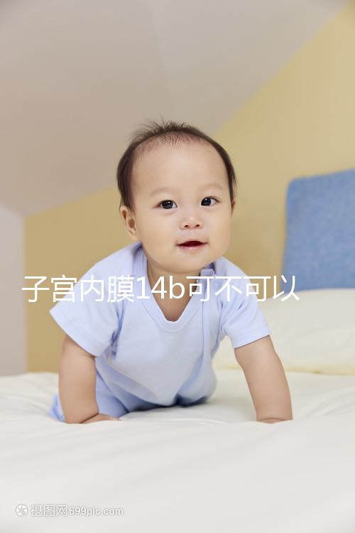 子宮內膜14b可不可以移植囊胚看情況，能否成功只看三點
