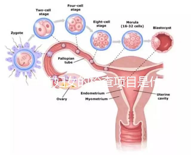 孕前婦女的檢查項目是什么？