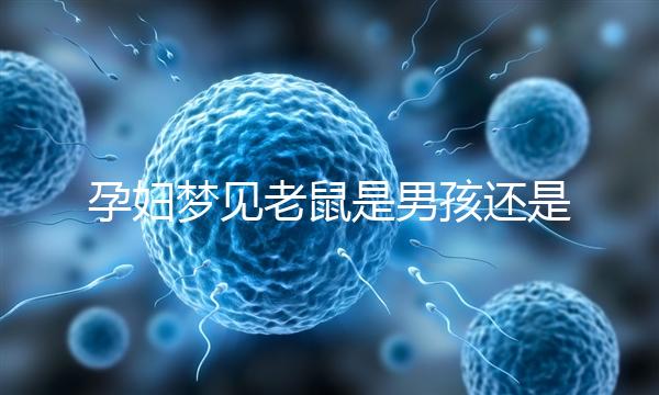 孕婦夢見老鼠是男孩還是女孩不再糾結，詳細預兆解讀看這