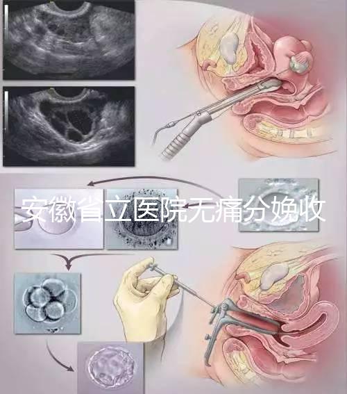 安徽省立醫(yī)院無(wú)痛分娩收費(fèi)標(biāo)準(zhǔn),過(guò)來(lái)人經(jīng)歷告訴你怎么樣