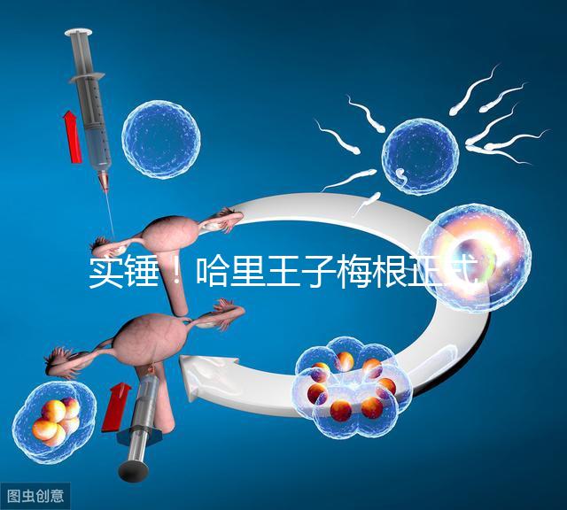 實(shí)錘！哈里王子梅根正式公布寶寶名字：阿爾奇·哈里森