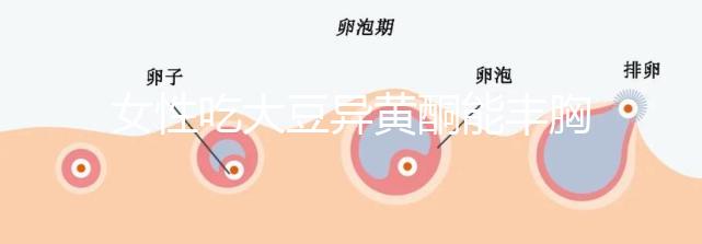 女性吃大豆異黃酮能豐胸？別再被這些虛假廣告給忽悠了