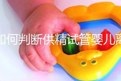 如何判斷供精試管嬰兒離婚，會不會一目了然地判給女方？