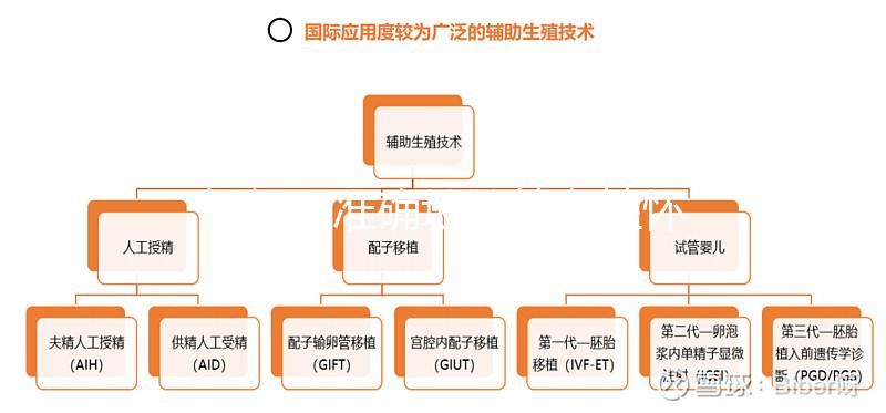 如何更準確地計算女性懷孕時間？