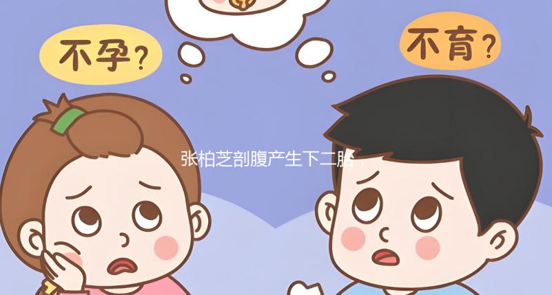 張柏芝剖腹產(chǎn)生下二胎,跟謝霆鋒一個(gè)模子刻出來的