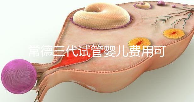 常德三代試管嬰兒費用可以報銷嗎?內附試管費用明細