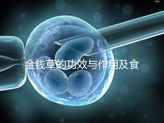 金錢(qián)草的功效與作用及食用方法（金錢(qián)草泡水喝的功效）