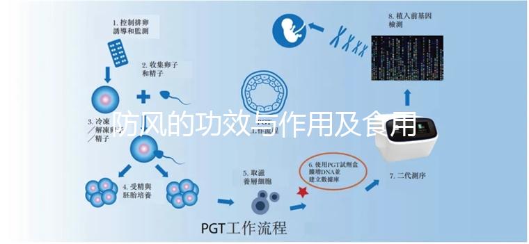防風的功效與作用及食用方法(防風的功效與作用及食用方法分別是什么?)