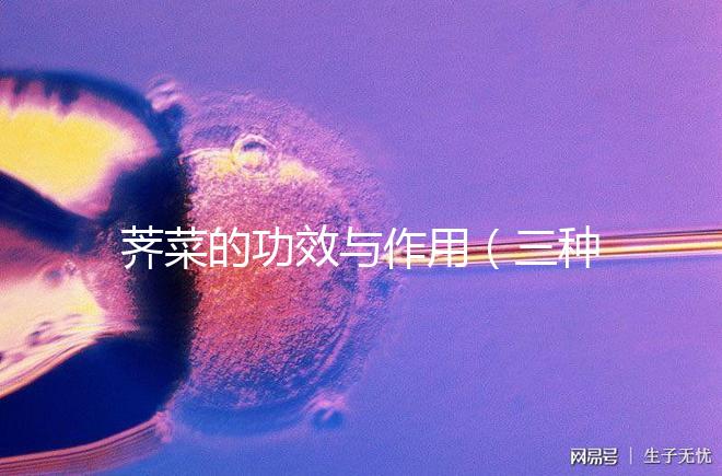 薺菜的功效與作用(三種人不宜吃薺菜)