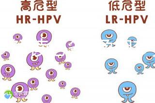 胎夢(mèng)解讀必備!孕婦夢(mèng)見鴿子所象征的含義介紹