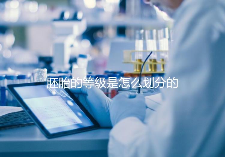 胚胎的等級是怎么劃分的？詳解3天胚胎與5天囊胚的評估標準