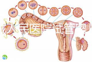 聊城人民醫(yī)院試管嬰兒成功率怎么樣,3大助孕案例告訴你答案