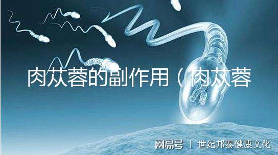 肉蓯蓉的副作用（肉蓯蓉會傷肝嗎）