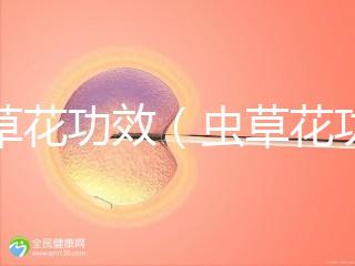 蟲(chóng)草花功效(蟲(chóng)草花功效作用與主治功能)