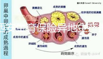 西安生育保險異地生產報銷流程及程序公開，不懂收藏