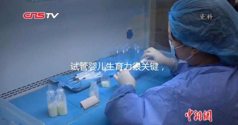 試管嬰兒生育力很關(guān)鍵，4個方面評估好不好？