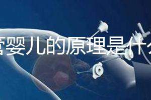 試管嬰兒的原理是什么？