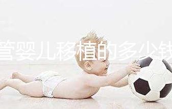 試管嬰兒移植的多少錢(試管嬰兒移植的多少錢一次)