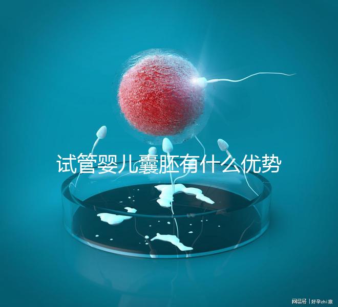 試管嬰兒囊胚有什么優(yōu)勢(shì)嗎?