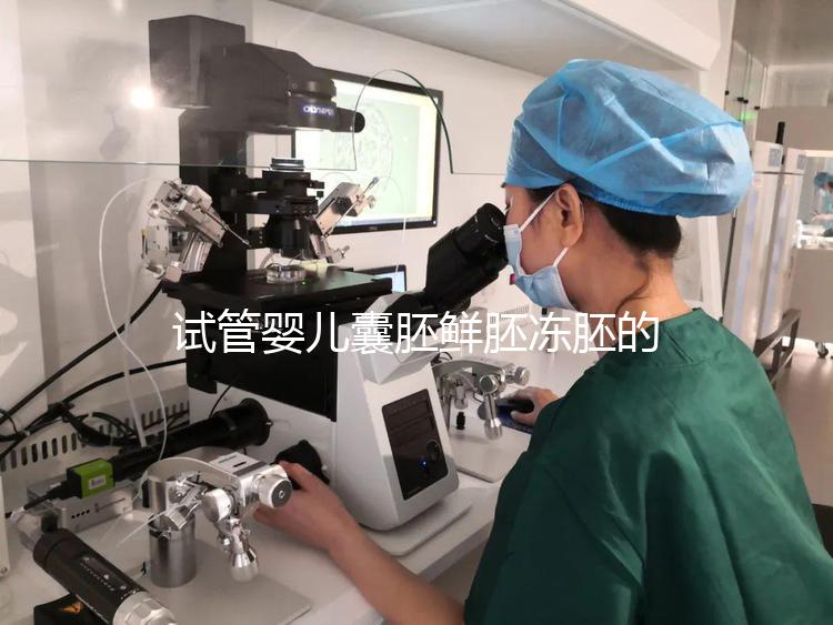 試管嬰兒囊胚鮮胚凍胚的區(qū)別是什么？鮮胚移植VS凍胚移植，哪個成功率高？