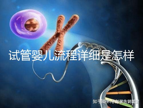 試管嬰兒流程詳細(xì)是怎樣的?步驟+注意事項一文讀懂!