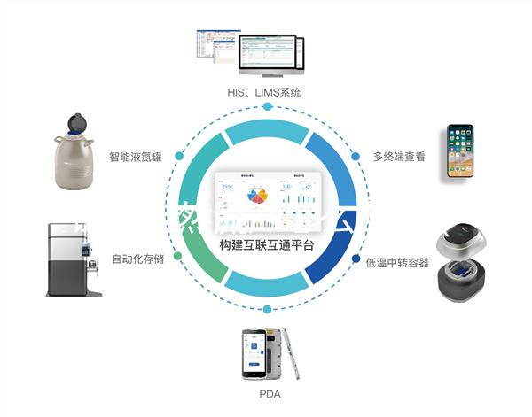 試管自然流產(chǎn)怎么辦呀（試管移植胚胎發(fā)育不好會自己流掉嗎）