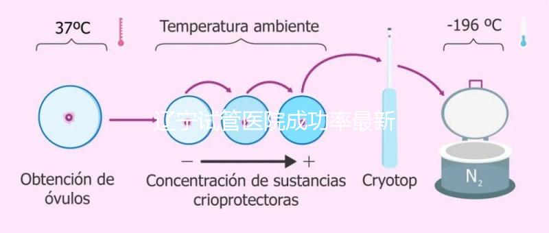 遼寧試管醫(yī)院成功率最新前十排名流出,盛京醫(yī)院竟錯(cuò)失榜首