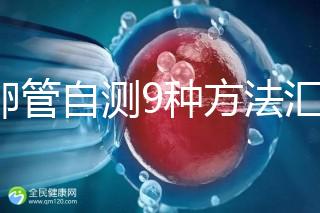 輸卵管自測(cè)9種方法匯總,試紙+晨尿怎么用最準(zhǔn)有竅門