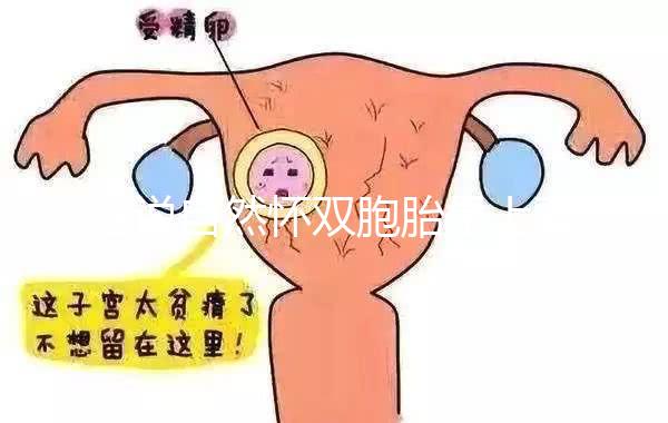 誰說自然懷雙胞胎是上輩子積德了，福報還是孽報一看便知