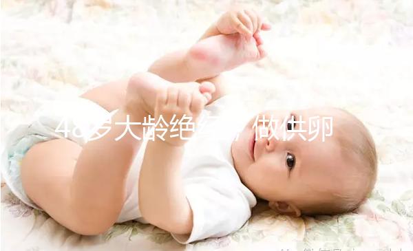 48歲大齡絕經，做供卵試管嬰兒的成功率有多高？