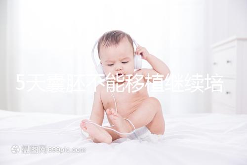 5天囊胚不能移植繼續(xù)培養(yǎng)？美國(guó)試管專家為您解析！