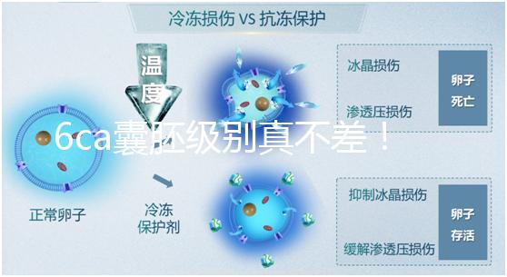 6ca囊胚級別真不差！嘗試移植才有機會,有信心才能“好孕”