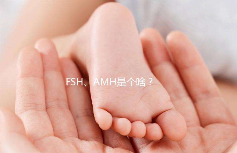 FSH、AMH是個啥？卵巢功能好不好看這些指標！